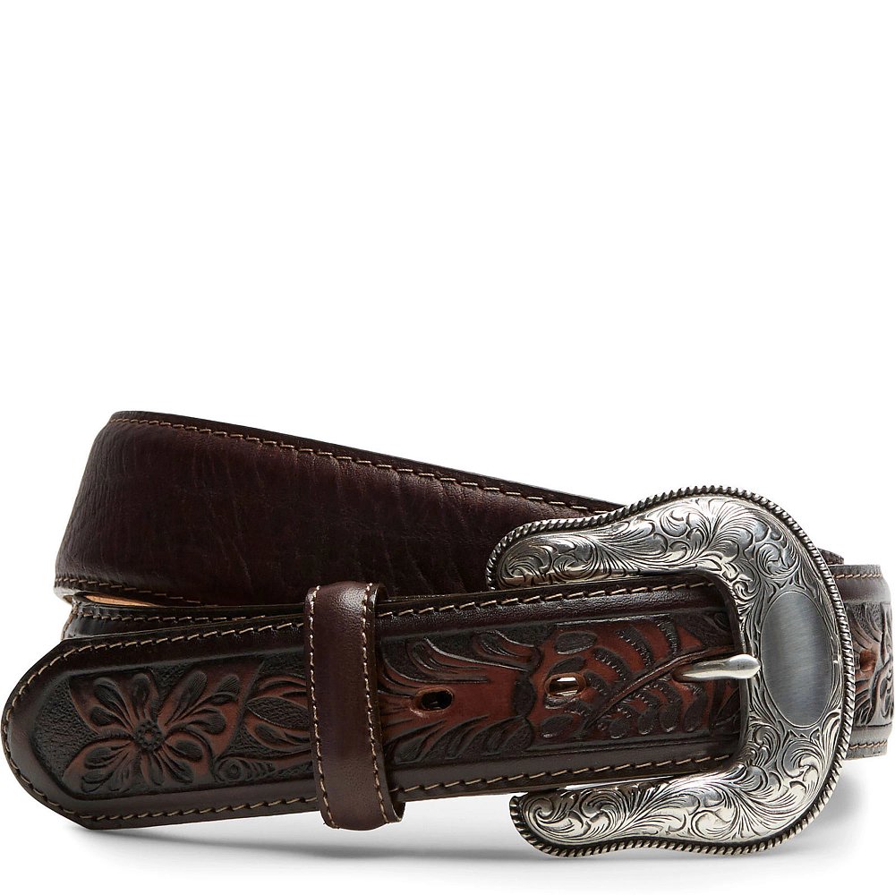 The Montana Belt