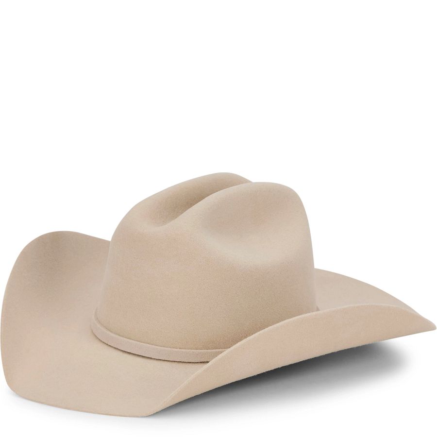 Rodeo Felt Western Hat